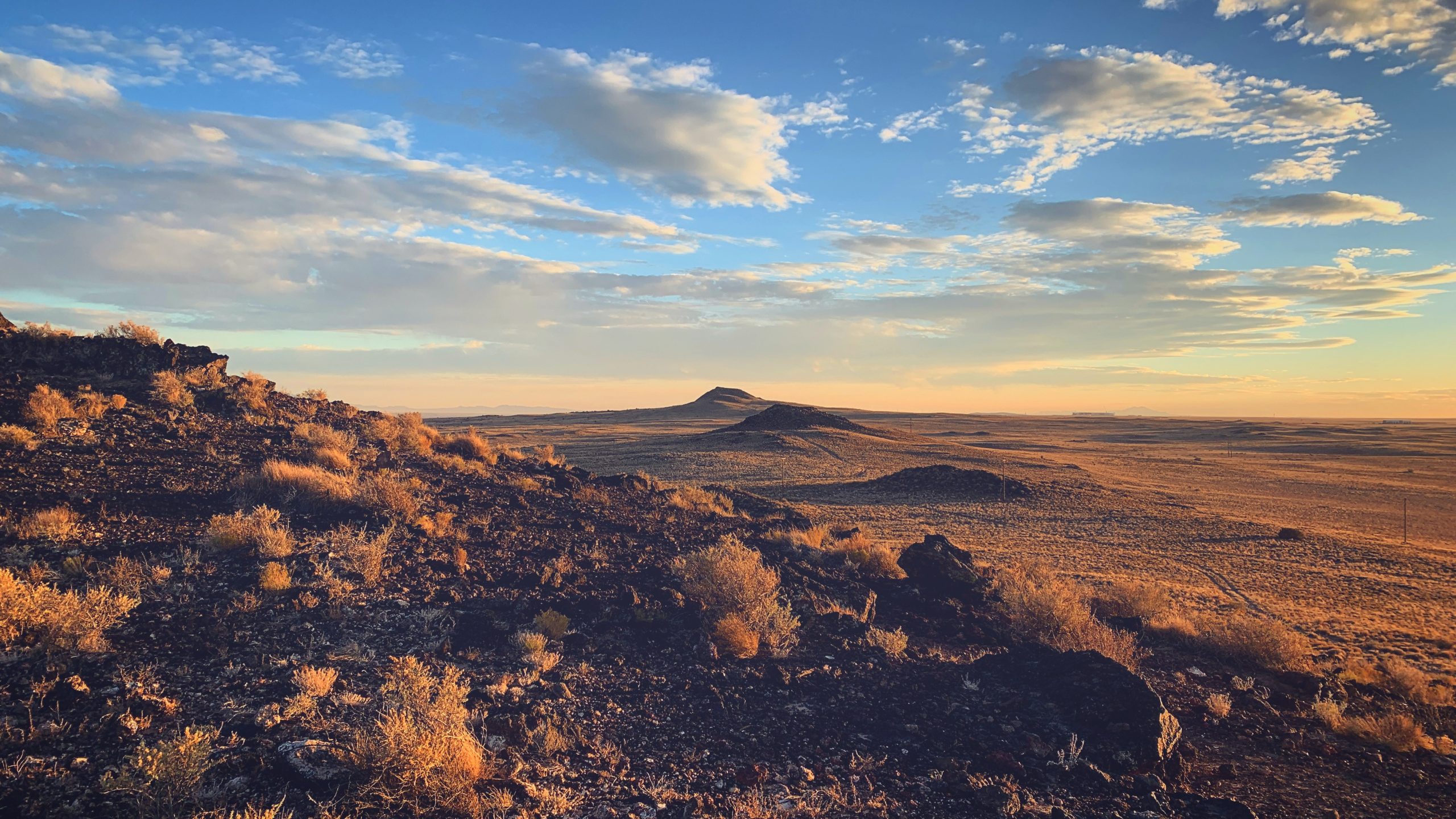 new mexico lands